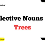 Collective Nouns For Trees