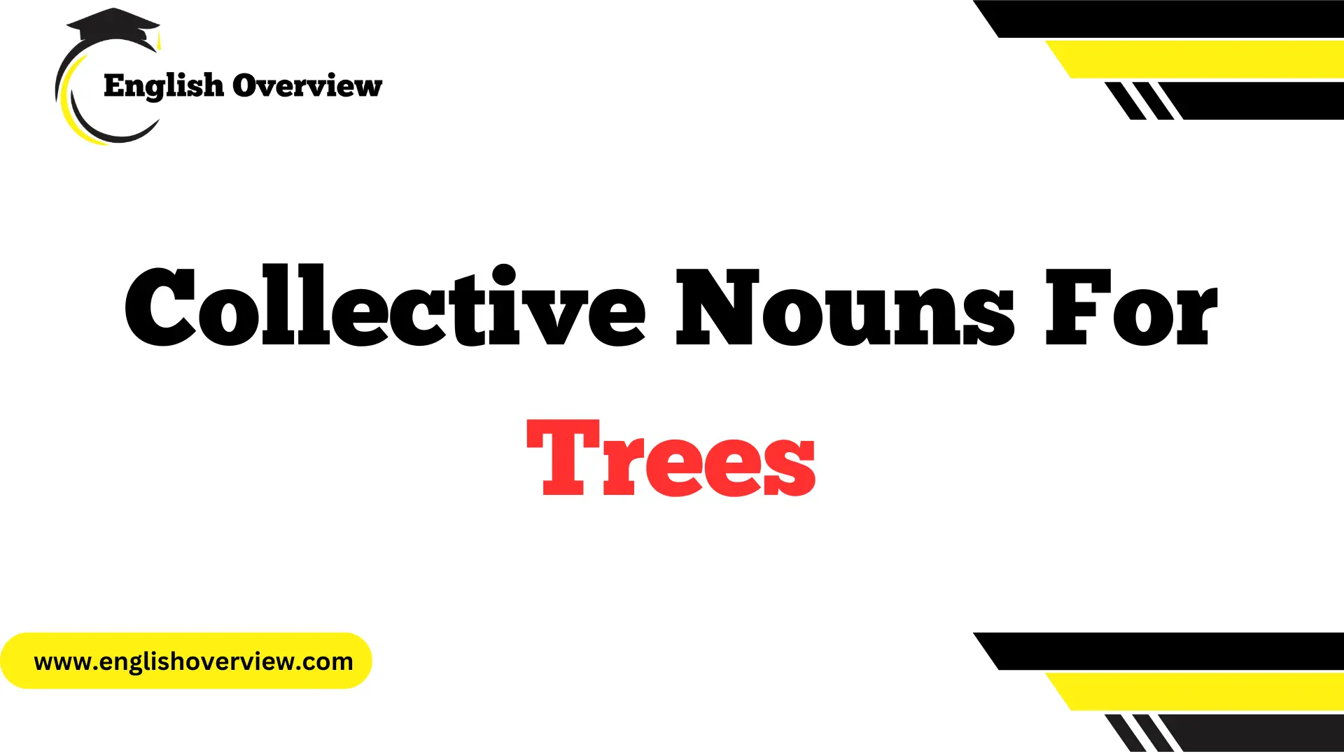 Collective Nouns For Trees