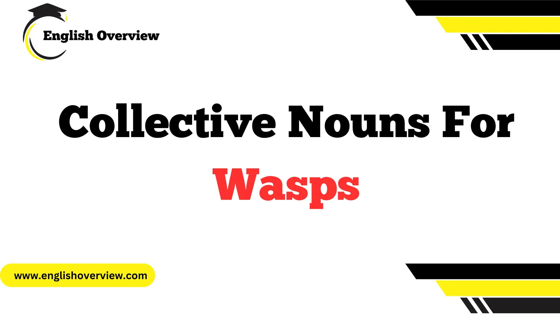 Collective Nouns For Wasps