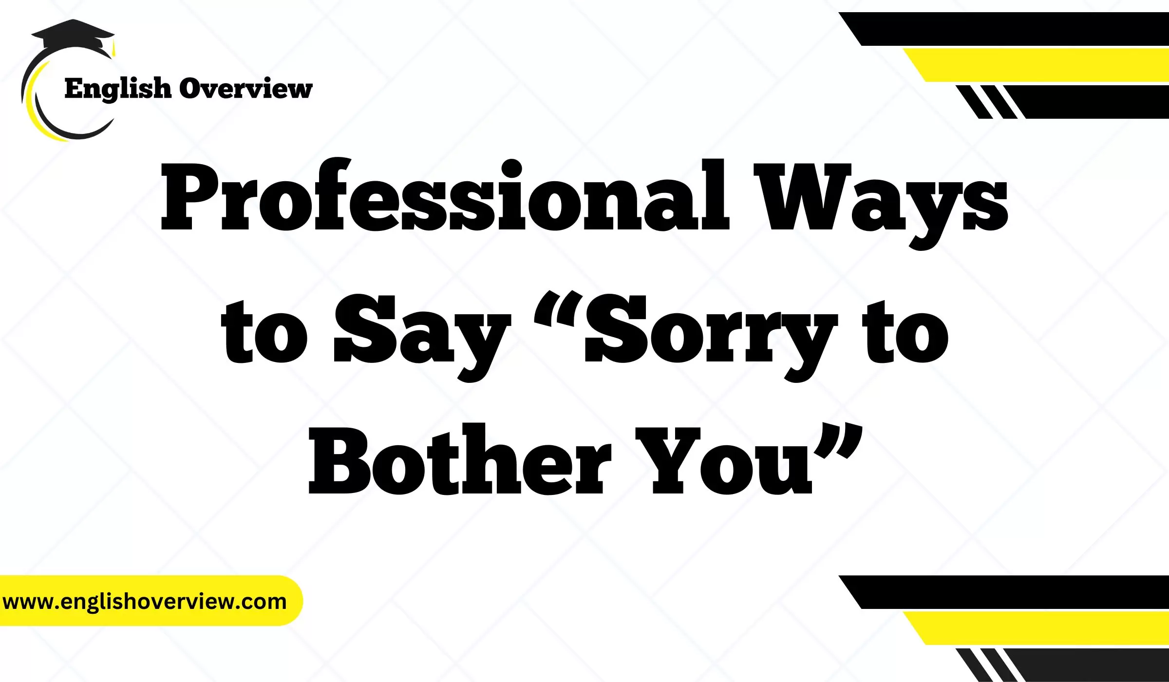 Professional Ways to Say “Sorry to Bother You”