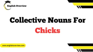 Collective Nouns For Chicks