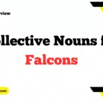 What is the Collective Nouns for Falcons