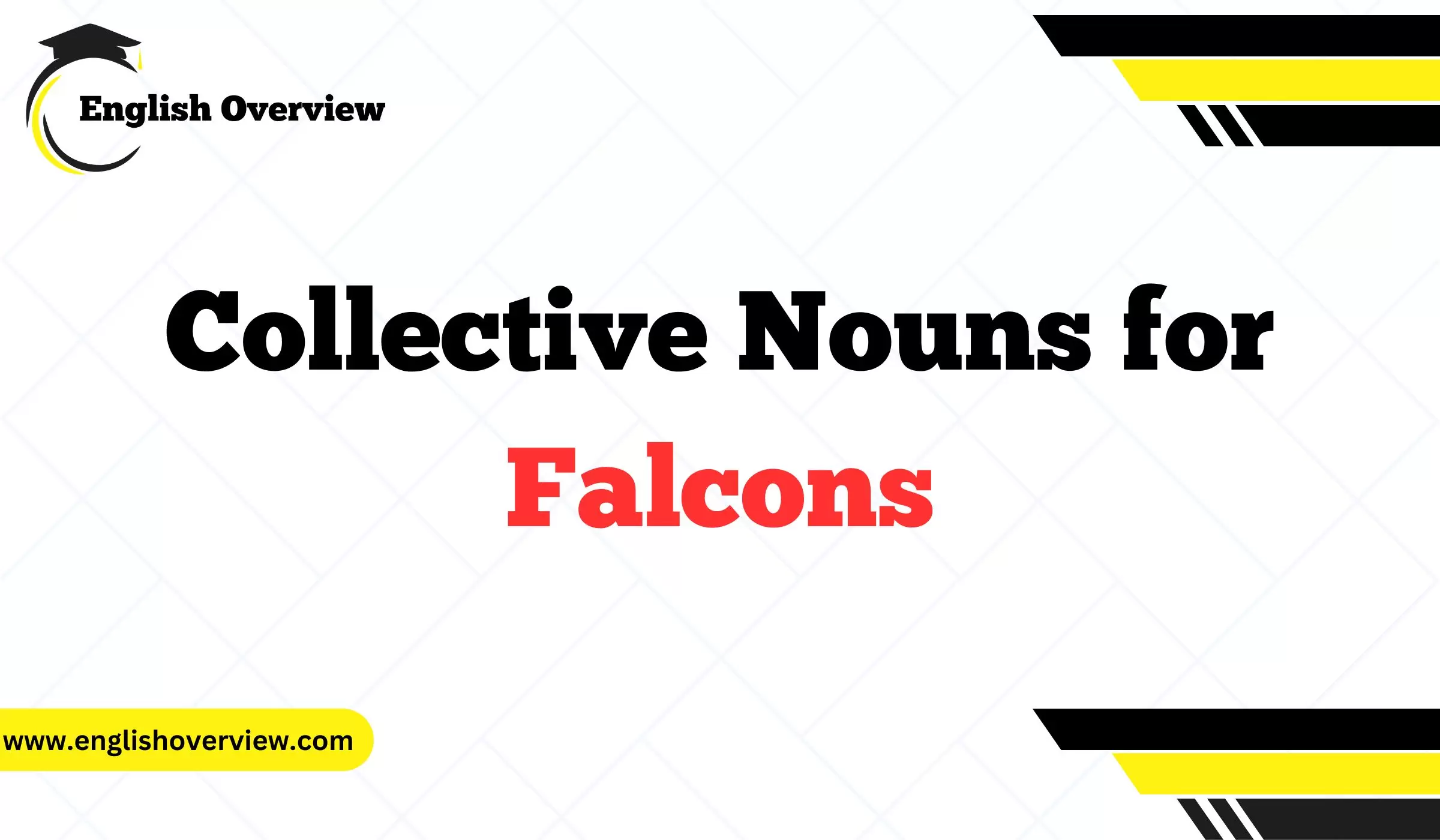 What is the Collective Nouns for Falcons
