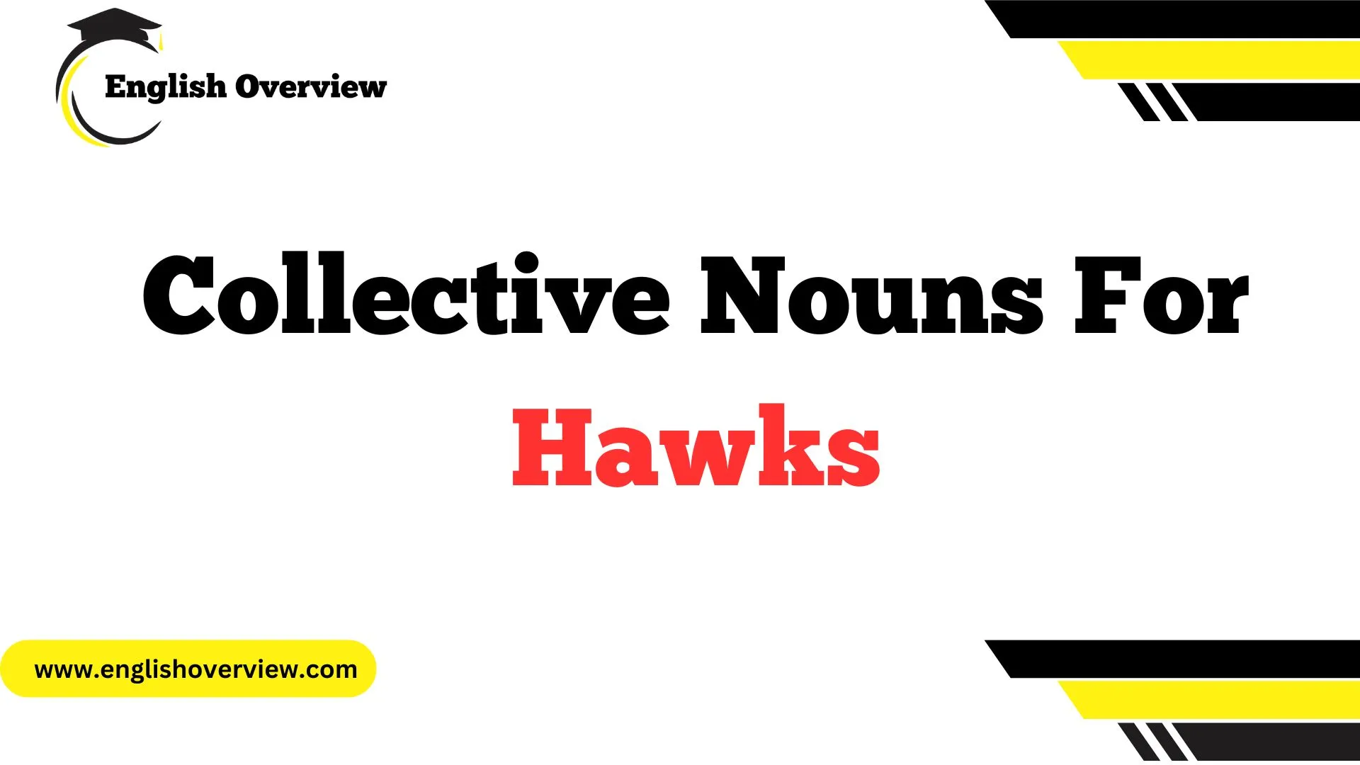 Collective Nouns For Hawks