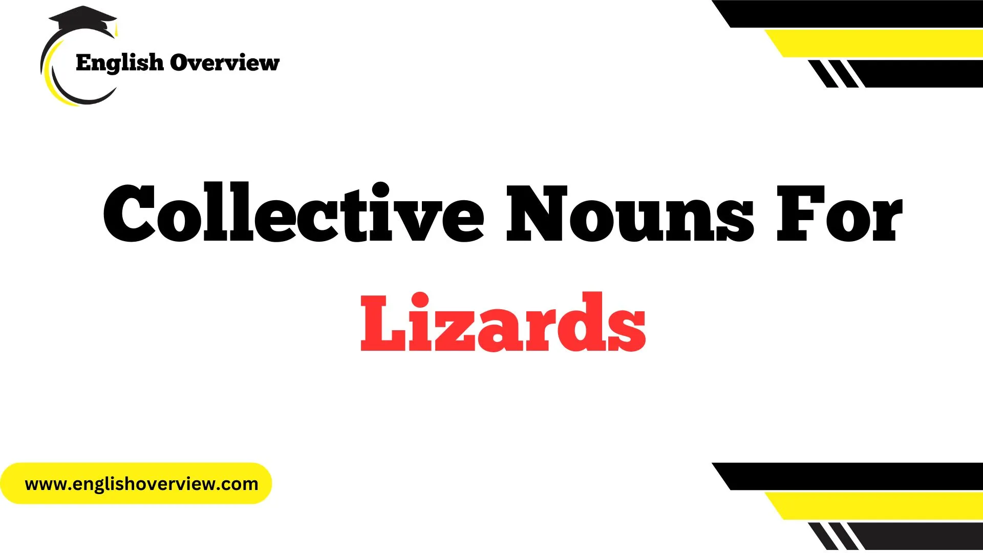 Collective Nouns For Lizards