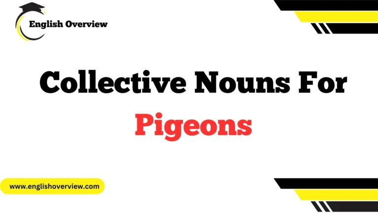 Collective Nouns for Pigeons