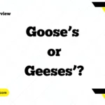 Goose’s or Geese’s or Geeses’