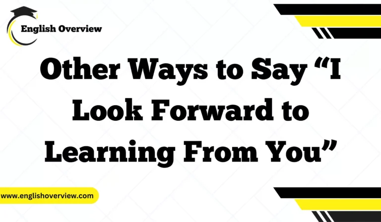 Other Ways to Say “I Look Forward to Learning From You”