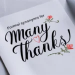 Formal Synonyms for “Many Thanks”