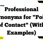 Professional Synonyms for "Point of Contact" (With Examples)