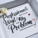 Professional Ways to Say “Not My Problem”
