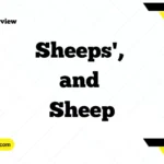 Understanding Sheep's, Sheeps', and Sheep: A Simple Guide