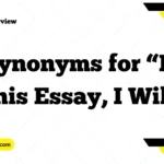 Synonyms for “In This Essay, I Will”