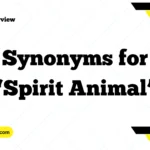 Synonyms for “Spirit Animal”
