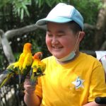 The Global Impact of Make-A-Wish A Celebration of Achievements