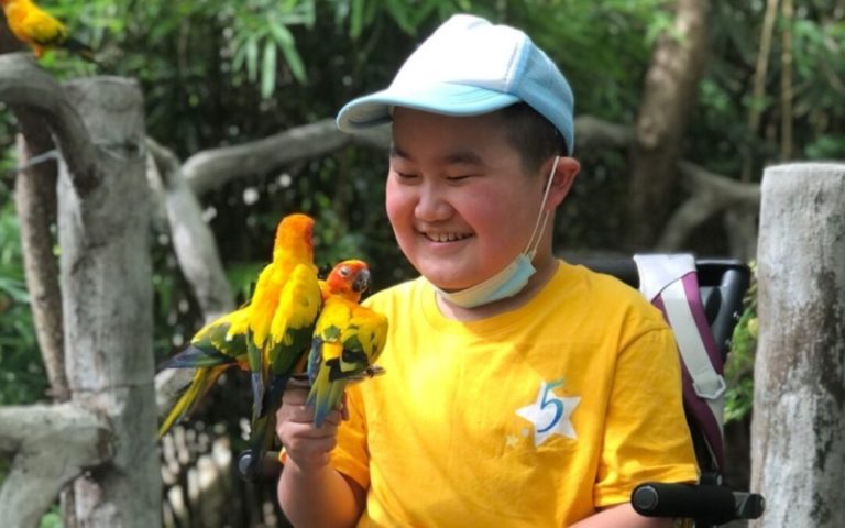 The Global Impact of Make-A-Wish A Celebration of Achievements