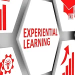 The Role Of Experiential Learning In International Schools
