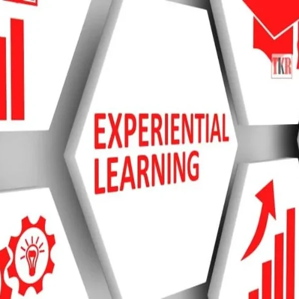 The Role Of Experiential Learning In International Schools