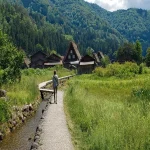Path Tips
