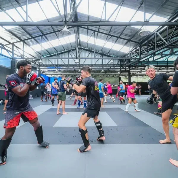 Muay Thai in Thailand for Training MMA with Experience
