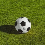 What makes the Football Live Scores more Interesting for Youngsters
