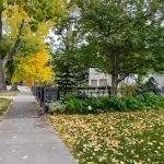 How to Switch Your Landscaping from Summer to Fall in Calgary