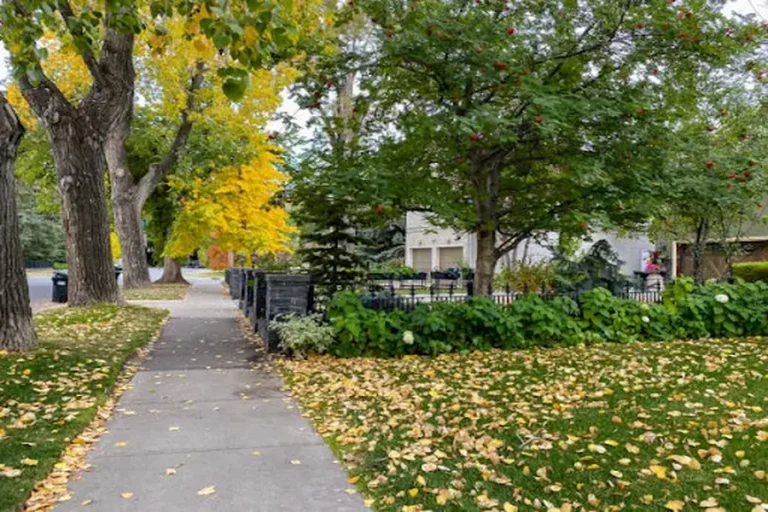 How to Switch Your Landscaping from Summer to Fall in Calgary