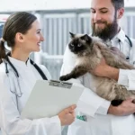 Animal Hospital