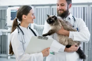 Animal Hospital