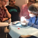Dentists Address