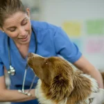 Veterinarians