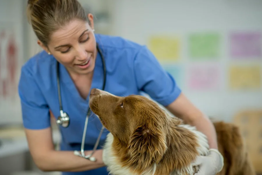 Veterinarians