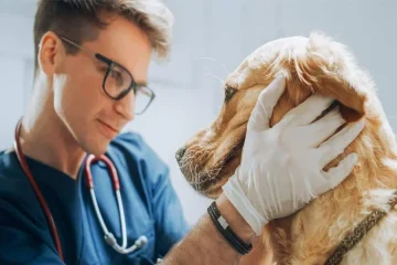 Veterinarians Partner