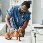 Veterinary Hospitals