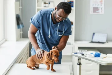 Veterinary Hospitals