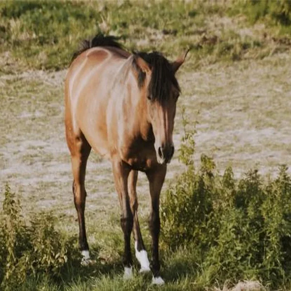 Why Rotating Wormers Isn’t Enough Anymore