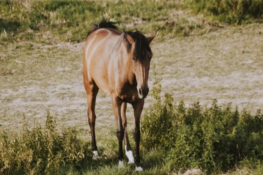 Why Rotating Wormers Isn’t Enough Anymore