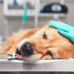 Urgent Care
