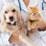 Pet Health