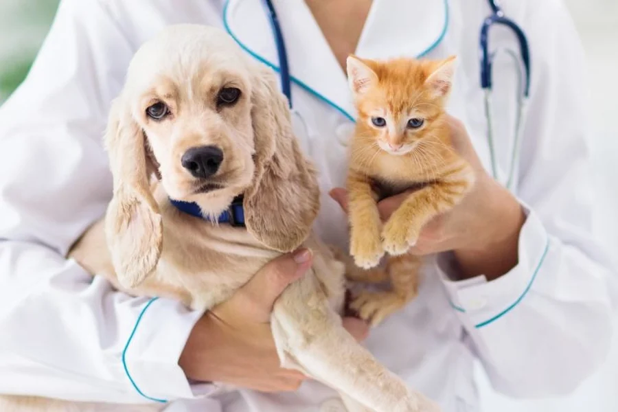 Pet Health