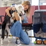 Pet Owners