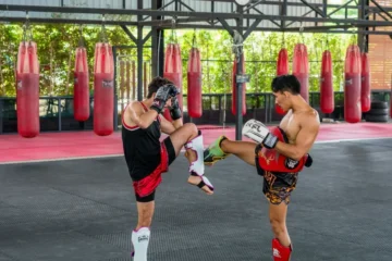 Beginner Martial
