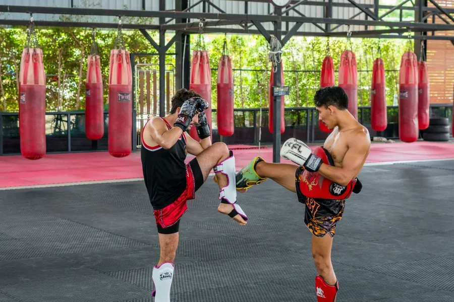 Beginner Martial